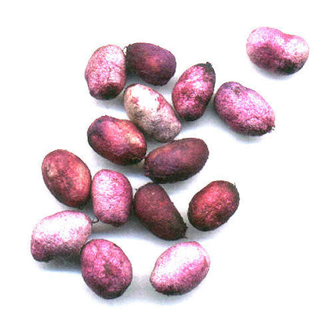 Capsules Online, Capsules, Jamun Seeds Online