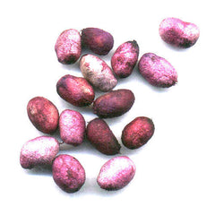 Capsules Online, Capsules, Jamun Seeds Online