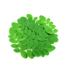 Capsules Online, Capsules, Moringa Online